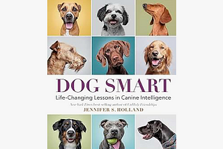 Book Recommendation!
