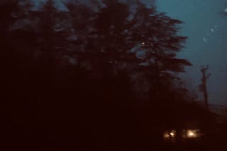 Trees by the road early in the morning, standing over a small house with the porch light on.