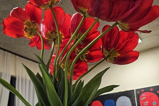 Tulips, Amsterdam, and a Painting in Progress