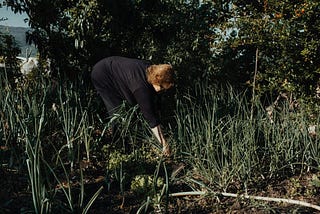 Weeding the Soil Cultivates Growth