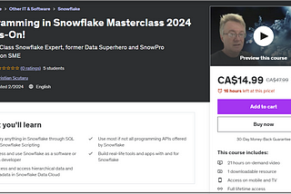 Programming in Snowflake Masterclass — Over 21 Hours of Video!