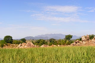 Farmland with Uva Hills in the Background