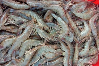 Advancing the sustainability of farmed shrimp