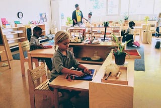 Loving and Critical:
Reflecting and Interrogating my Montessori Identity