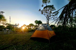 A Night Alone in Big Cypress