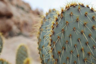 Surviving the Growth-Tax