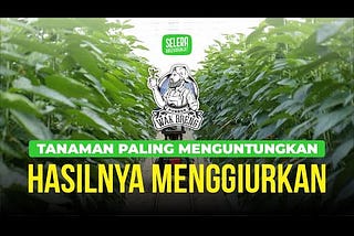 Pupuk terbaik untuk padi tergantung pada kondisi tanah, varietas padi, dan faktor lingkungan.