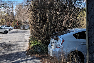 Hedge Shrinker