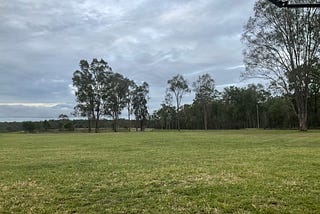 A green paddock edged by bushland