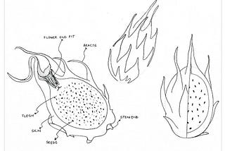 Nature and Form