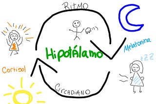 O Ritmo Circadiano do Batuque