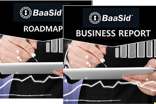 BaaSid — Roadmap Update & September 2024, Business Report