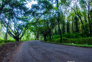 Malnad Monsoon Magic