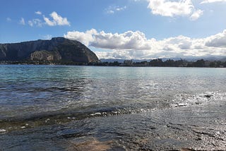 Market Commentary Week ending 24th November 2024