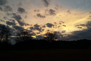 Pond at Laurel Park