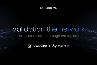 BounceBit validation