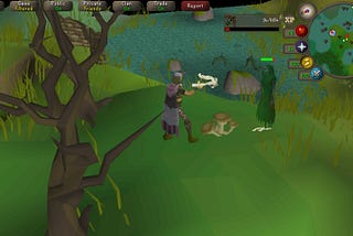 Everything You Ned To Know About RuneScape