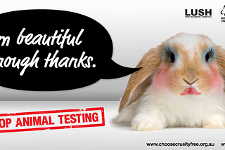 Testing Cosmetics on Animals