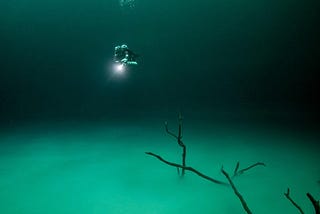 El Fondo Marino