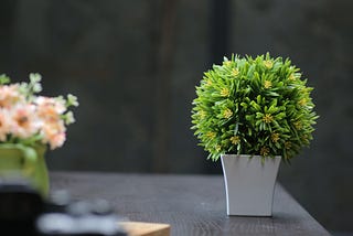 Plastic nature: The irony of fake plants in our homes