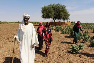 Darfur: Adapting to an encroaching desert