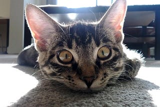 How To Become Successful