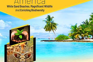 FlightsSouth America — White Sand Beaches, Magnificent Wildlife, and Enriching Biodiversity