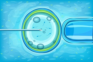 Top IVF Centres in Kerala