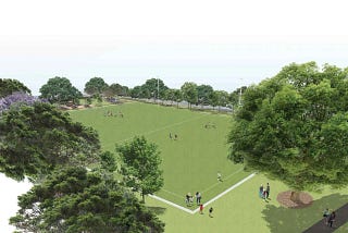Save Turruwull Park from Synthetic Grass!