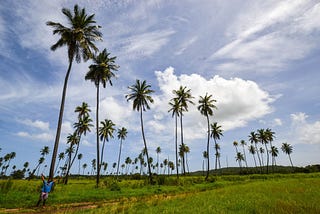 Exploring Aguadilla: A Guide to Must Visit Places