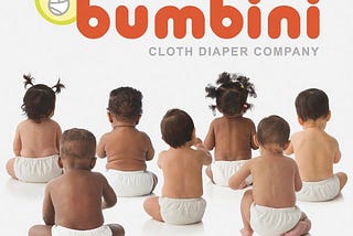 Shop for EcoBear Baby Diaper Cover (One Size) Online