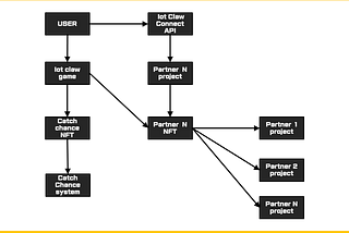 catch chance NFT system