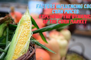 Factors Influencing CBOT Corn Prices: Exploring the Dynamics of the Corn Market