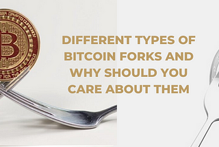 Different Types of Bitcoin Forks and Why Should You Care About Them