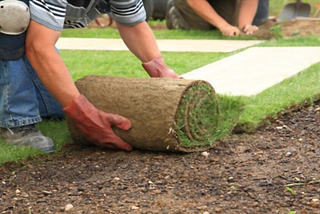 7 Benefits of Commercial Landscaping Services that Can Add Value to Your Business