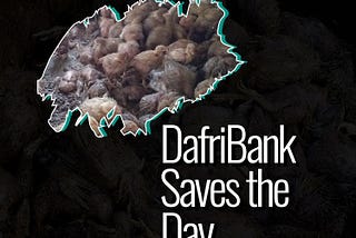 DafriBank Saves the Day on Twitter