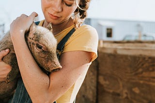 Why Didn’t ‘Charlotte’s Web’ Make Everyone Vegan?