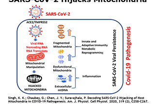 Why You May Want to Supplement With Melatonin During SARS-CoV-2 Infections