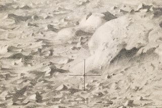 Moon Shots: On Apollo’s Muse and Vija Celmins