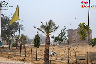 Buy Luxury Plots Near Khatu Shyam Temple -Replant Realguru