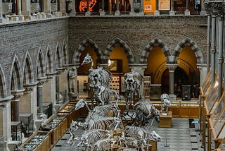 How to Increase Museum Attendance