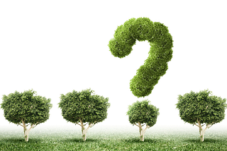 Decision Tree Using Iris Dataset