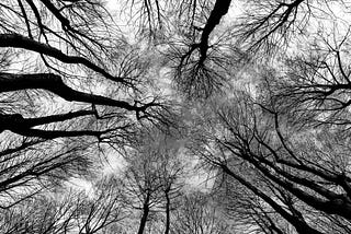 All the Best-Selling Psychology Books, Boiled Down to 20 Simple Rules