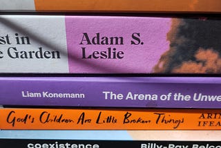 A stack of novels and notebooks