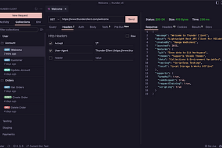 Thunder Client — lightweight alternative to Postman