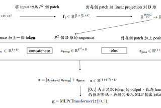 Gaze Estimation using Transformer (2021)