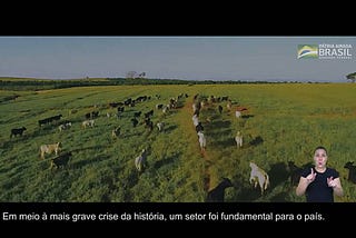 A “Força” do Agronegócio Brasileiro