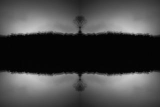 Some of my best photos are rejects