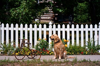 Beyond The White Picket Fence: A Journey of Healing and Hope