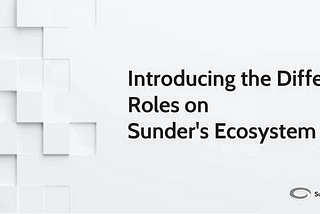 Introducing the Different Roles on Sunder’s Ecosystem